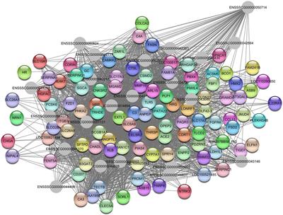 Key co-expressed genes correlated with blood serum parameters of pigs fed with different fatty acid profile diets